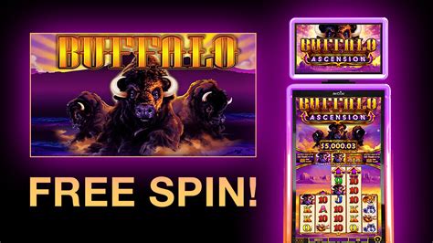 buffalo slot machine strategy|buffalo slot machine payouts.